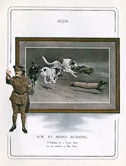 Borzoi: ALLIED DOGS WW1