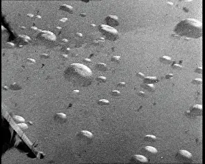 Dropping: Allied Paratroopers Dropping From Transport