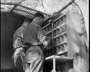 Sorted: Allied Soldiers Letters Being Sorted