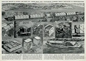 Jungles: Allied troops in Burma by G. H. Davis