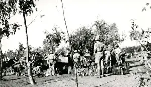 Connaught: Allied troops with camels, Mesopotamia, WW1