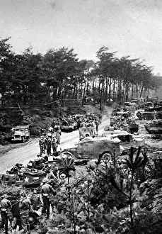 Reichswald: Allied Troops in the Reichswald Forest; Second World War, 19