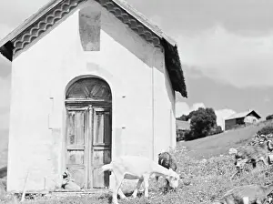 Allos: Allos - France