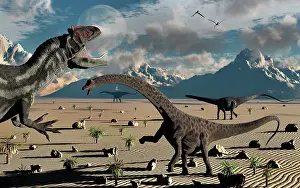Prowling: An Allosaurus confronts a small group of Diplodocus ?