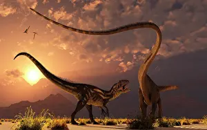 Prowling: An Allosaurus in a deadly battle with a Diplodocus dinosaur