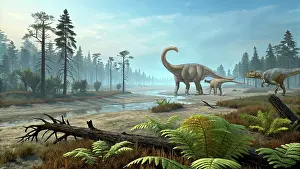 Stocktrek Images: An Allosaurus dinosaur confronts a Diplodocus and its young