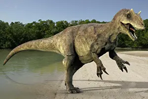 Talon: Allosaurus dinosaur on shoreline