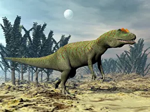 Allosaurid: Allosaurus dinosaur walking amongst pachypteris trees