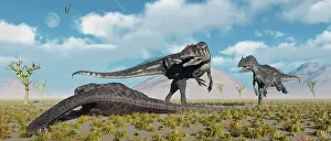 Defending: Allosaurus dinosaurs approaching the carcass of a dead ?
