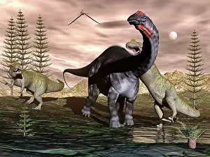 Massive: Allosaurus dinosaurs attacking an Apatosaurus
