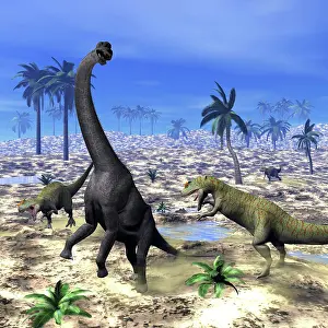Prowling: Allosaurus dinosaurs attacking a Brachiosaurus in the desert