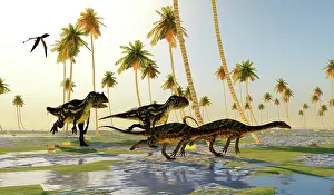 Allosaurid: Allosaurus dinosaurs chase after a pair of Anchisaurus