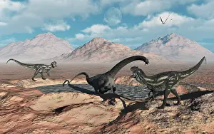 Stuck: Allosaurus dinosaurs stalk a Diplodocus trapped in a mud pit