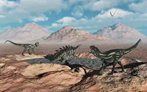 Stuck: Allosaurus dinosaurs stalk a Stegosaurus trapped in a mud ?