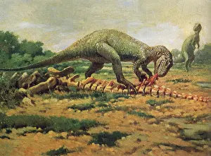 Feasting: Allosaurus Feasting