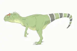 Allosaurid: Allosaurus pencil drawing with digital color