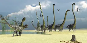 Banthensis: Two Allosaurus predators prepare for an attack on a herd of