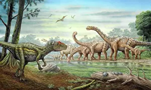 Camarasaurus: An Allosaurus stalking a herd of Camarasaurus