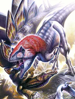 Spiked: Allosaurus vs. Stegosaurus
