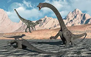 Threat: An Allosaurus waits for its chance to attack a