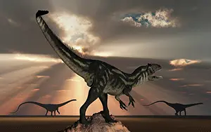 Rays: An Allosaurus watching a pair of large Diplodocus