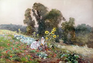 Shere: Allotment Garden at Shere, Surrey