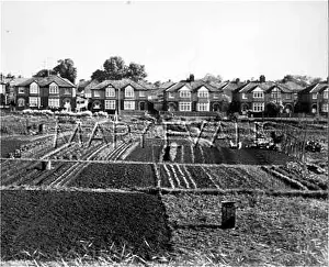 Allotments: ALLOTMENTS COWLEY 1967