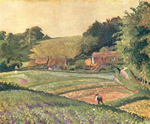 Allotments: The Allotments Green, East Knoyle