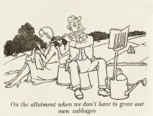 Allotment: Empty allotments / W H Robinson