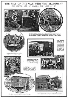 Allotment: Allotments WW1
