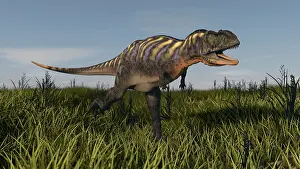 Furious: Alluring Aucasaurus in grassland