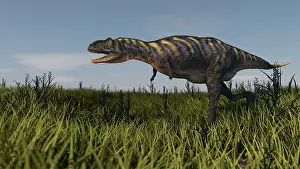Furious: Alluring Aucasaurus in grassland
