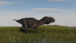 Carnotaurinae: Alluring Majungasaurus in swamp grassland