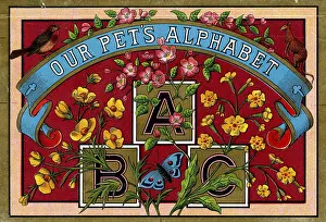 1885copy1: Alphabet Blocks