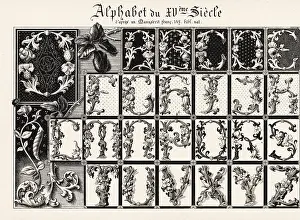 Chromolithograh: Alphabet of illuminated initial letters with foliage