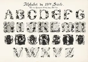 Chromolithograh: Alphabet of initial letters in foliage from a