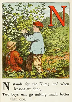 Nutting: ALPHABET/N FOR NUTS