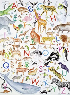 Jackal: Alphabetical Animals