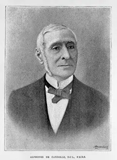 Candolle: Alphonse de Candolle (1806-1893)