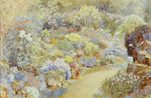 Guildford: An Alpine Garden with path