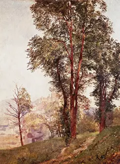 Blick: Alt, Jakob (1789 - 1872)