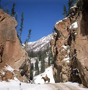Everyone: Altai Mountains, 1980
