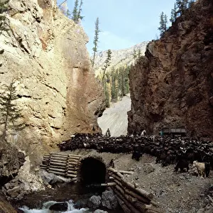 Isthmus: Altai Mountains, 1982