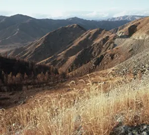 Languages: Altai Mountains, 1989