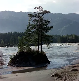 Include: Altai Mountains, 1990
