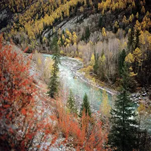 Altai: Altai Mountains landscape, 1982