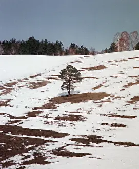 Sentsov: Altai Mountains landscape, 1991