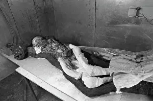 Thousand: Altai mummy