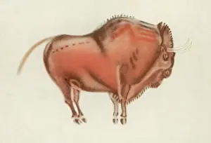 Artworks: ALTAMIRA BISON PAINTING