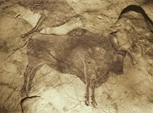 Palaeolithic: Altamira Cave Paintings